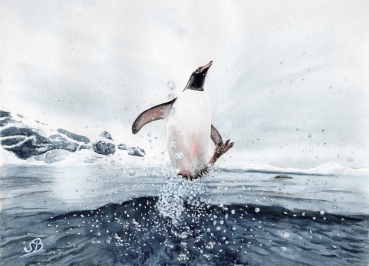 Postkarte DIN-A5 Aquarell Kunst Druck Kunstdruck Pinguin